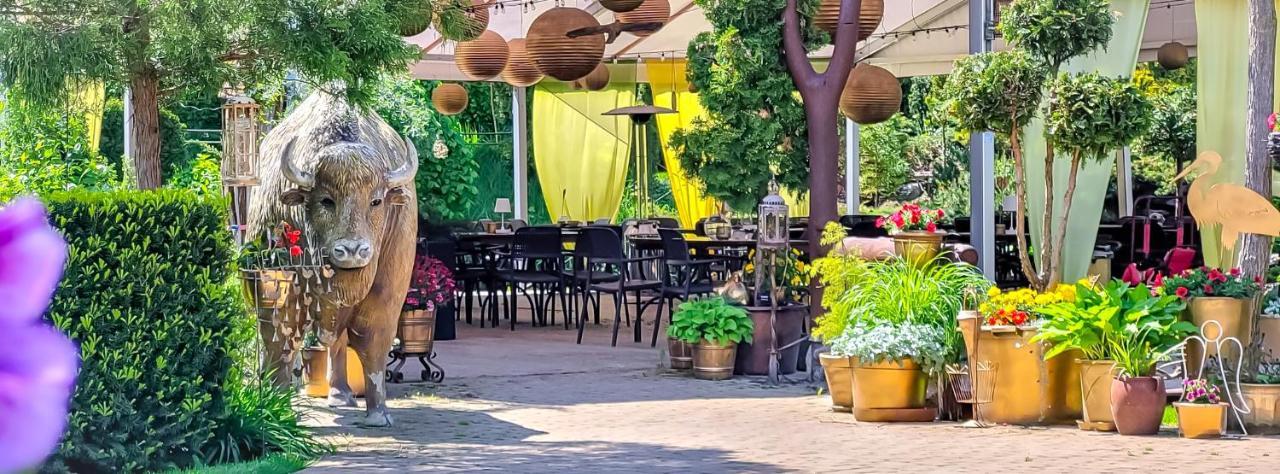Kaktusik Hotel Augustów Buitenkant foto