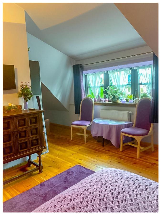 Kaktusik Hotel Augustów Buitenkant foto